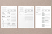 Google docs Resume Template, a Resume Template by Alice_s (Thumbnail 4 of 6)