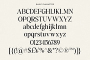 The Kayla Editorial Serif (15 Font), a Serif Font by Positive TypeFoundry (Thumbnail 11 of 14)