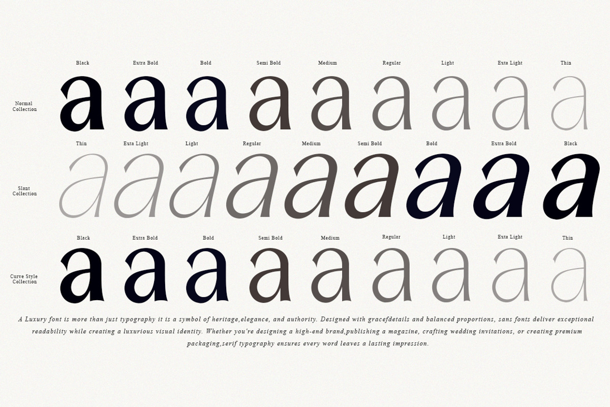 Amilent | 36 Style Font, a Serif Font by IM Studio (Photo 5 of 13)