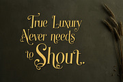 Grandeu Bearzens - Vintage Serif, a Serif Font by HypeWorksCo (Thumbnail 5 of 15)