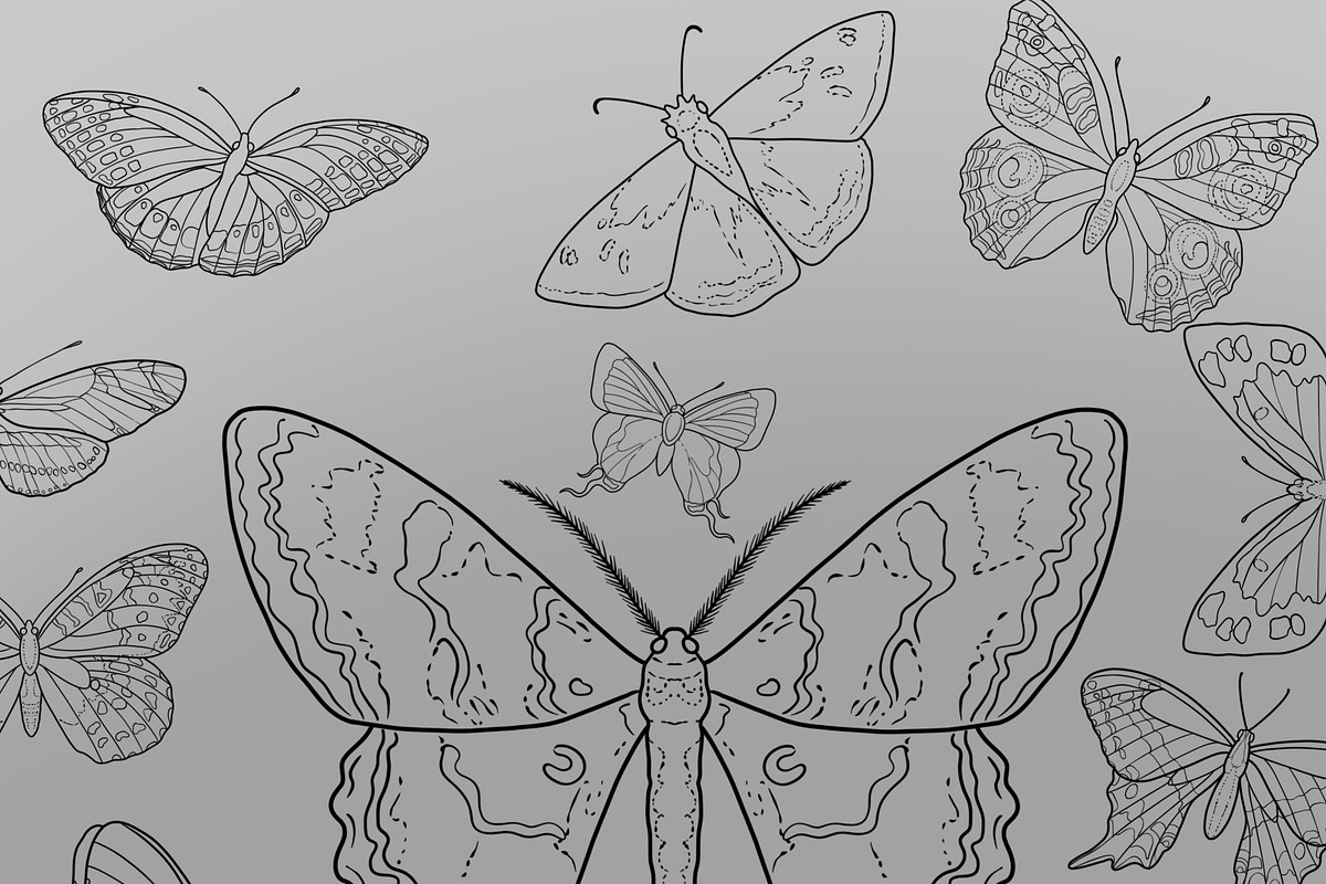 Butterfly & Moth, a Brush Add-On by Forget Me Not Brush Shop (Photo 2 of 3)