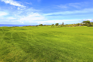 Nature green field and blue sky featuring day, sun, and sky
