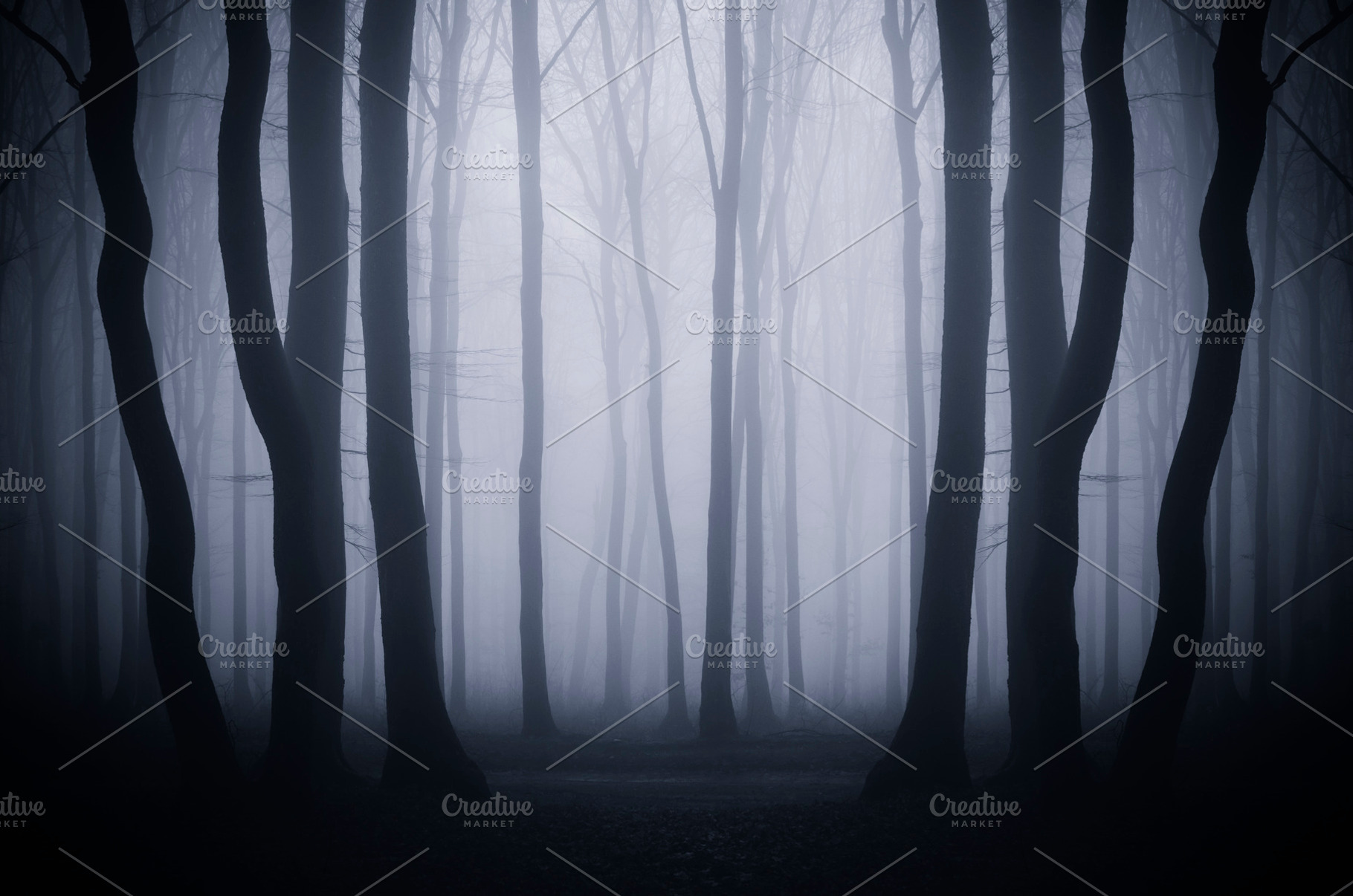 Surreal mysterious foggy forest, a Nature Photo by Atmospheric visuals