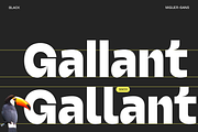 Miguer Sans | Contrast Sans, a Sans Serif Font by Jolicia Type (Thumbnail 8 of 21)