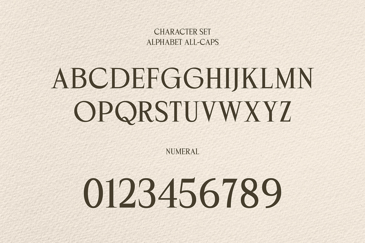 Goteca | Art Deco Classic Serif Font, a Serif Font by Hole Hope Design