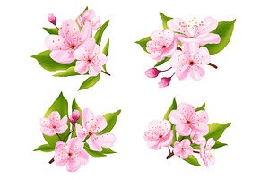 Realistic bouquet of pink sakura, an Object Illustration by Yayasya