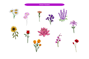 Hand Drawn Flowers, an Object Illustration by Creathub Studio (Thumbnail 1 of 3)