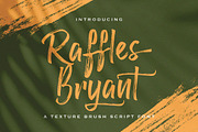 Raffles Bryant - Textured Brush Font, a Handwritten Font by StringLabs (Thumbnail 1 of 12)