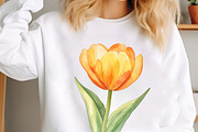 Watercolor Tulips Clipart Bundle, an Illustration by designcity5 (Thumbnail 5 of 5)
