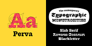 Perva, a Slab Serif Font by Eller Type (Thumbnail 1 of 8)