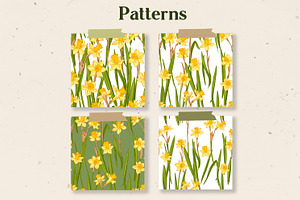 Daffodils. Sketch Spring Flowers