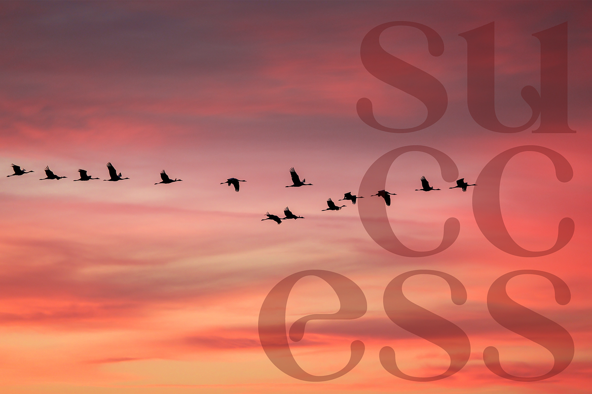 Vyriy font family, a Serif Font by vlad.berla (Photo 7 of 8)