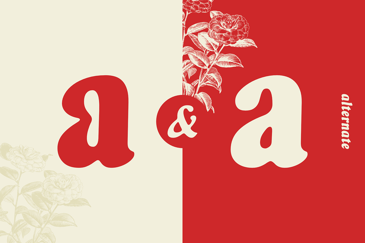 Belarin, a Serif Font by Muhammad Hastian (Photo 7 of 12)