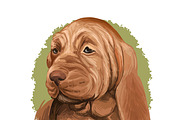 Puppies Dog Breeds Big Bundle 135Pcs, an Animal Illustration by Dneprstock (Thumbnail 65 of 68)