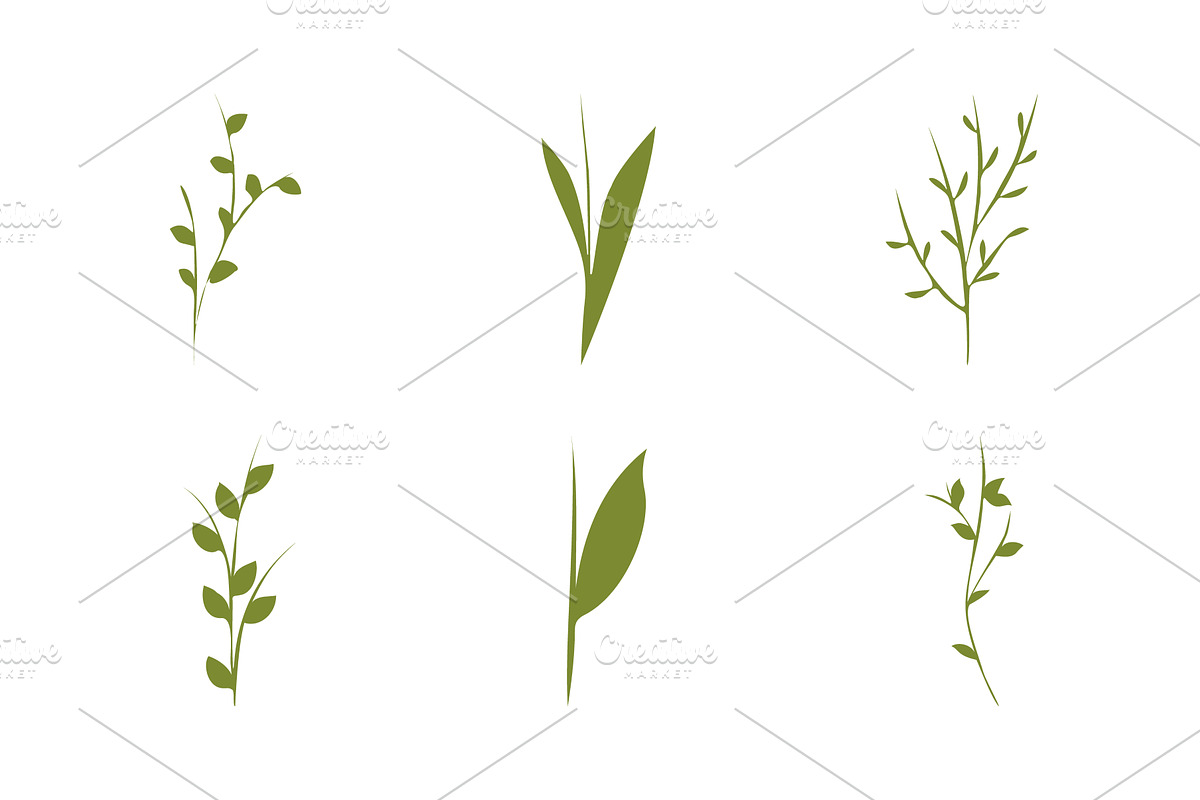 Diverse green plant stems with, an Object Illustration by okskukuruza