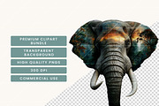 Nature Exposure Animals Clipart, an Animal Illustration by BusyDaydesign (Thumbnail 5 of 9)