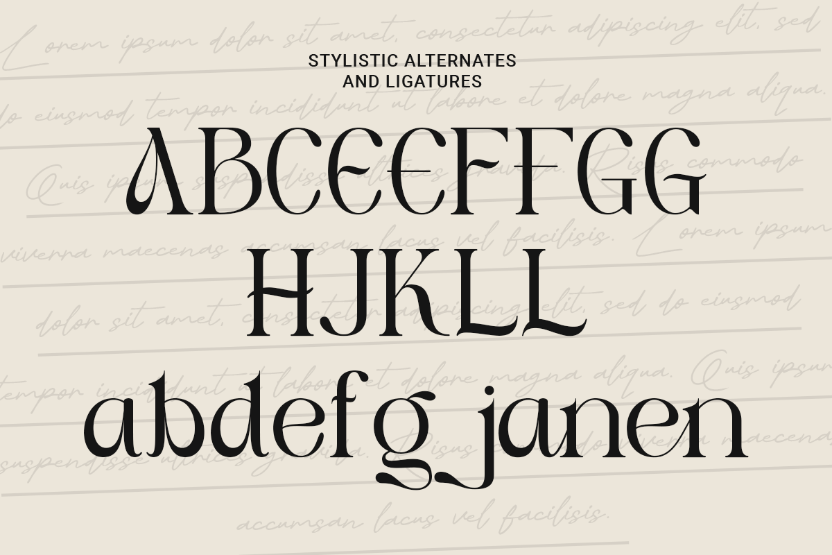 Acne - Modern Branding Typeface, a Serif Font by Sohel Studio (Photo 11 of 11)