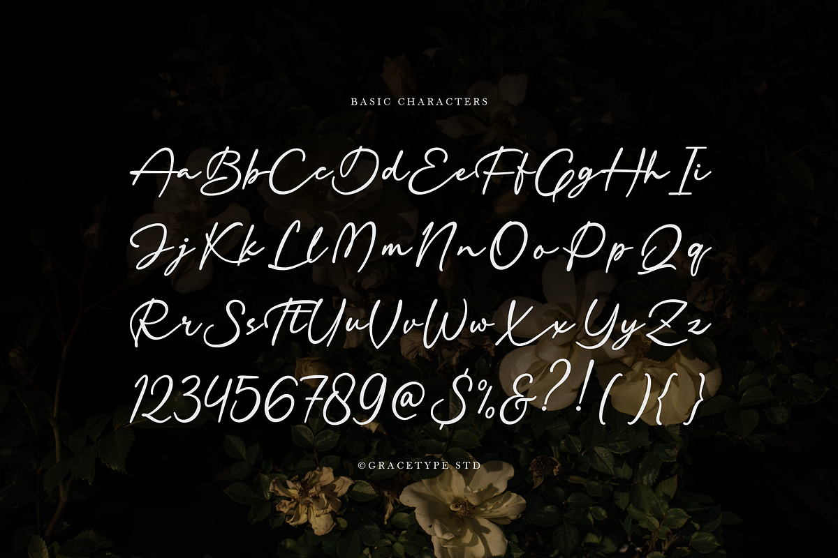 Dekalea | Elegant Signature Script, a Script Font by gracetype_studio (Photo 10 of 12)