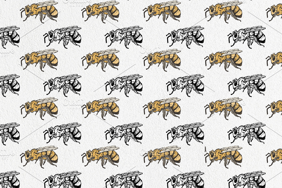 Honey bees, an Illustration by Onceli*art (Photo 5 of 7)