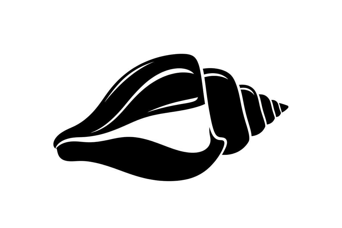 Shell Silhouette Vector Bundle, an Illustration by hafijul (Photo 3 of 48)