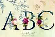 Elysian Floral Collection, an Illustration by Eclectic Anthology (Thumbnail 9 of 15)