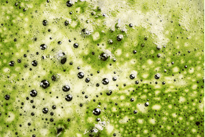 Close-up of matcha tea latte foam, a Food & Drink Photo by Anna Efetova