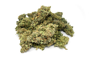 Cannabis marijuana weed close up