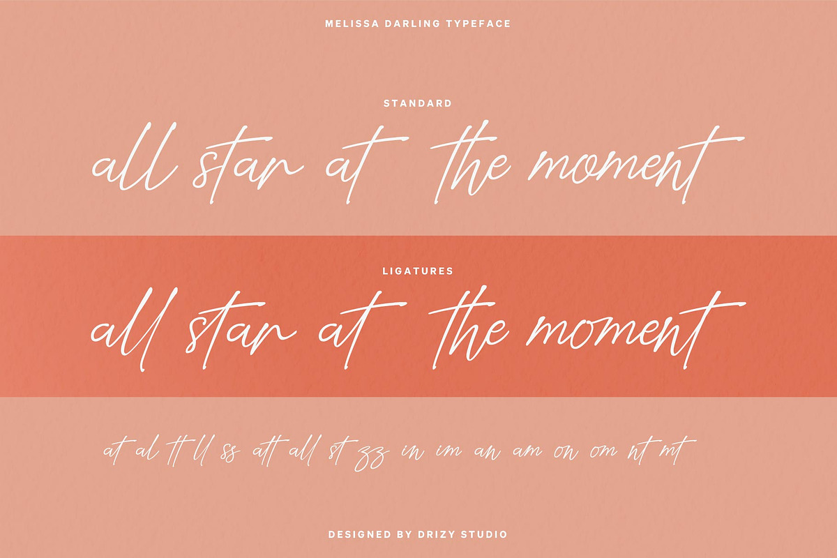 Mellissa Darling, a Script Font by Drizy (Photo 4 of 11)
