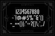 Lifer, a Serif Font by Twicolabs Fontdation (Thumbnail 3 of 5)