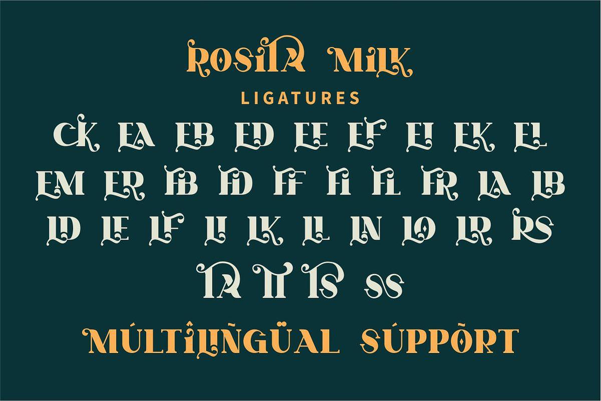 Rosita Milk - Bold Serif Font, a Serif Font by GFRcreative (Photo 3 of 4)