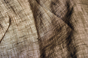 Fabric Texture