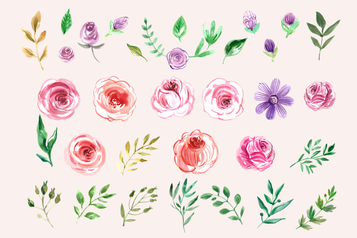 Watercolor floral collection, an Illustration by TATIANA_GERICH (Photo 2 of 10)