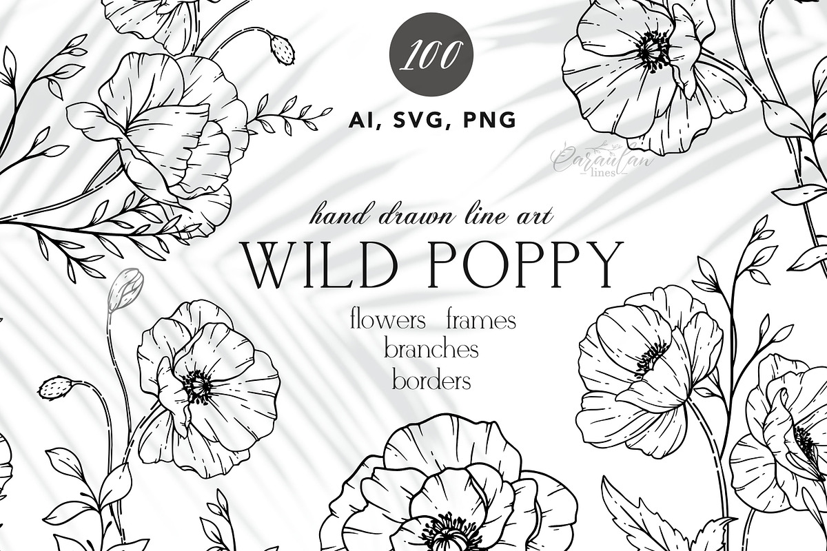 Poppy Line Art, an Object Graphic by CaraulanStore (Photo 1 of 6)