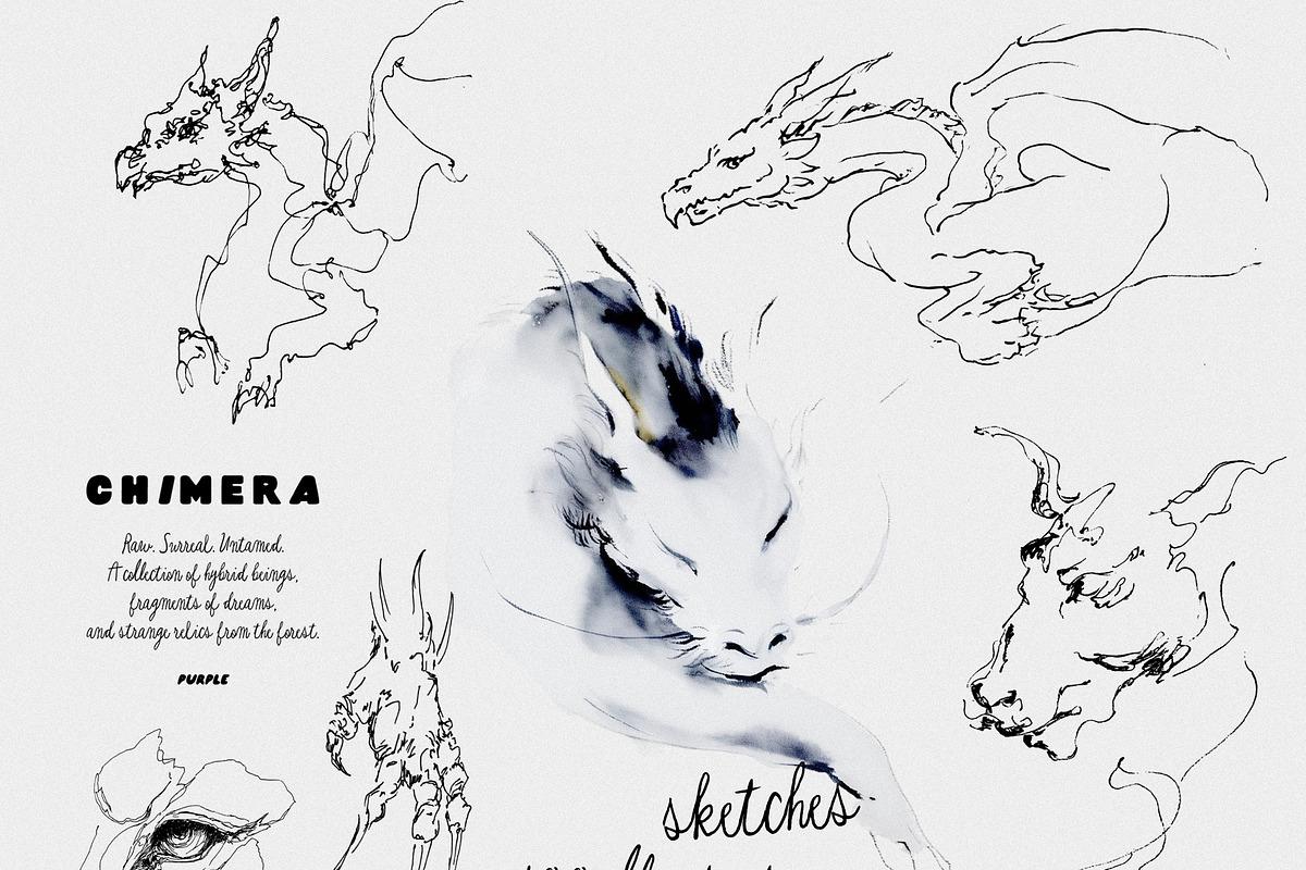 CHIMERA: Raw Surreal Line Art, an Animal Illustration by Purple (Photo 6 of 12)