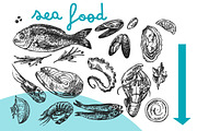 BIG set of food sketches, a Food Illustration by Steshnikova (Thumbnail 14 of 16)