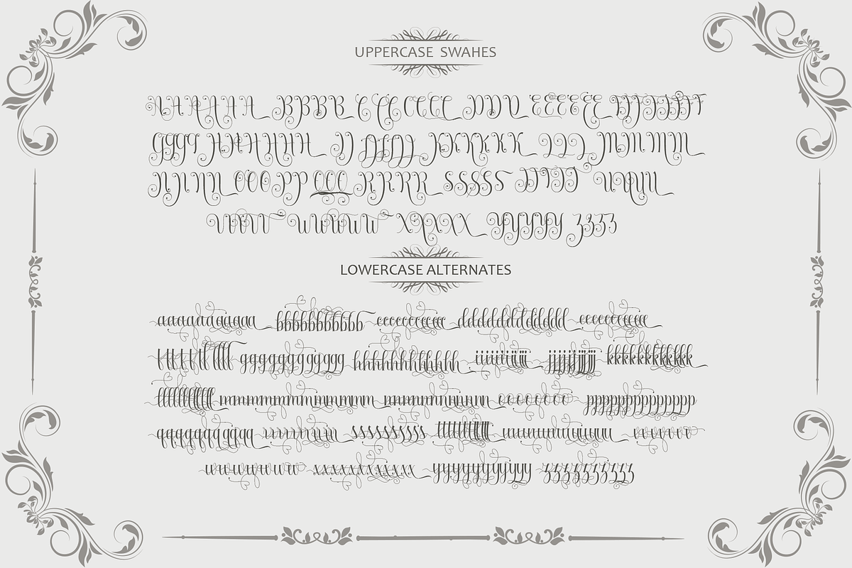 Absolut, a Script Font by Deniz86 (Photo 7 of 9)