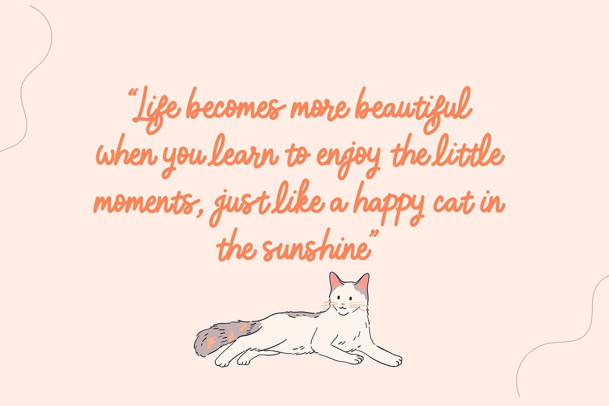 Kitten Paws - Playful Font Duo, a Script Font by Wellscript Studio (Photo 4 of 11)