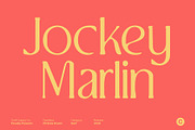 CS Brela Drawn, a Serif Font by Craft Supply Co. (Thumbnail 4 of 8)