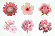 Blush Watercolor Floral Elements, an Illustration by Creative Art (Thumbnail 9 of 9)
