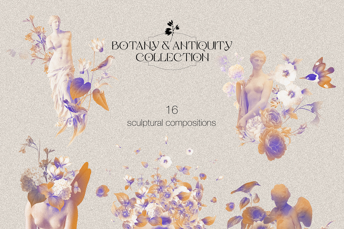 Botany & Antiquity Collection, an Object Graphic by Natali Batu (Photo 3 of 20)