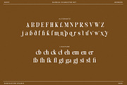 Blenisa Modern Beautiful Font, a Serif Font by RantautypeStudio (Thumbnail 17 of 17)