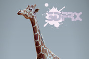 HD_GIRAFFE, an Animal 3D Model by 3DFRX (Thumbnail 4 of 5)