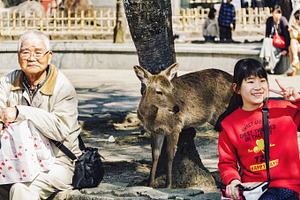 Japanese people at the park, a Person Photo by BOOCYS