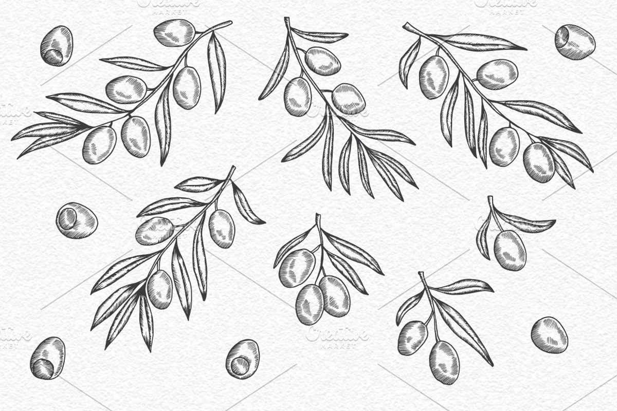 Olive Vintage Graphics Set, a Decorative Illustration by Chelovector (Photo 4 of 5)