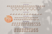 Dianthus Maiden Typeface, a Script Font by alit design (Thumbnail 10 of 17)