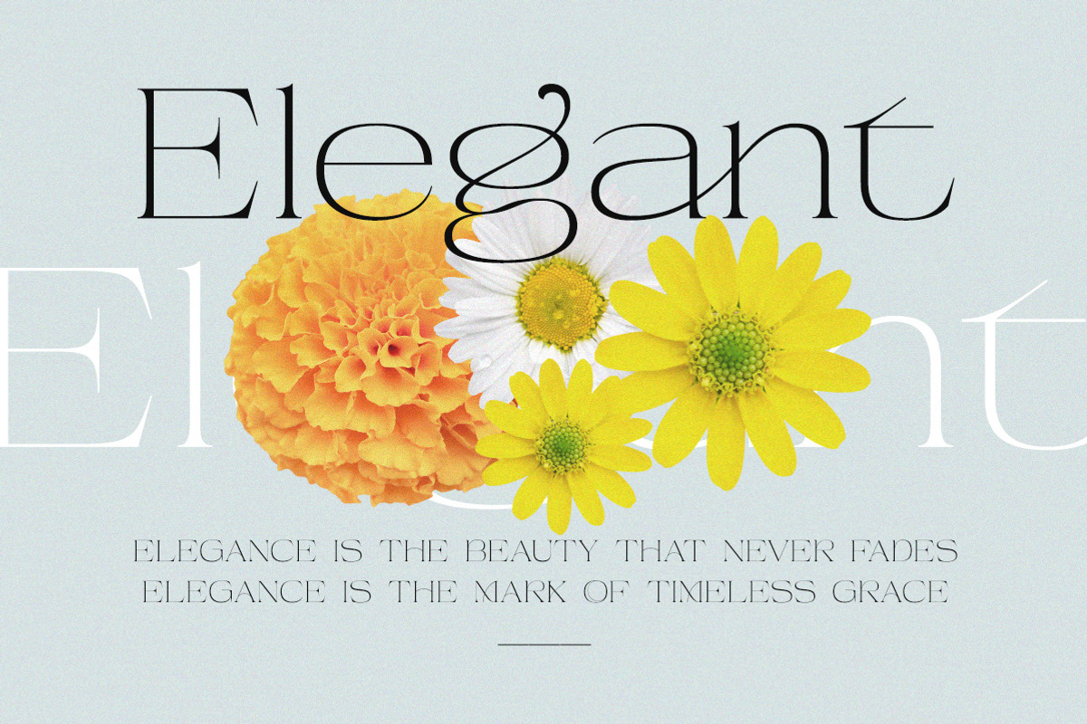 Beauty Entity - Stylish Serif, a Serif Font by Typeskets (Photo 4 of 9)