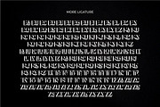 Brays unique display serif font, a Serif Font by suhadidesign (Thumbnail 10 of 11)