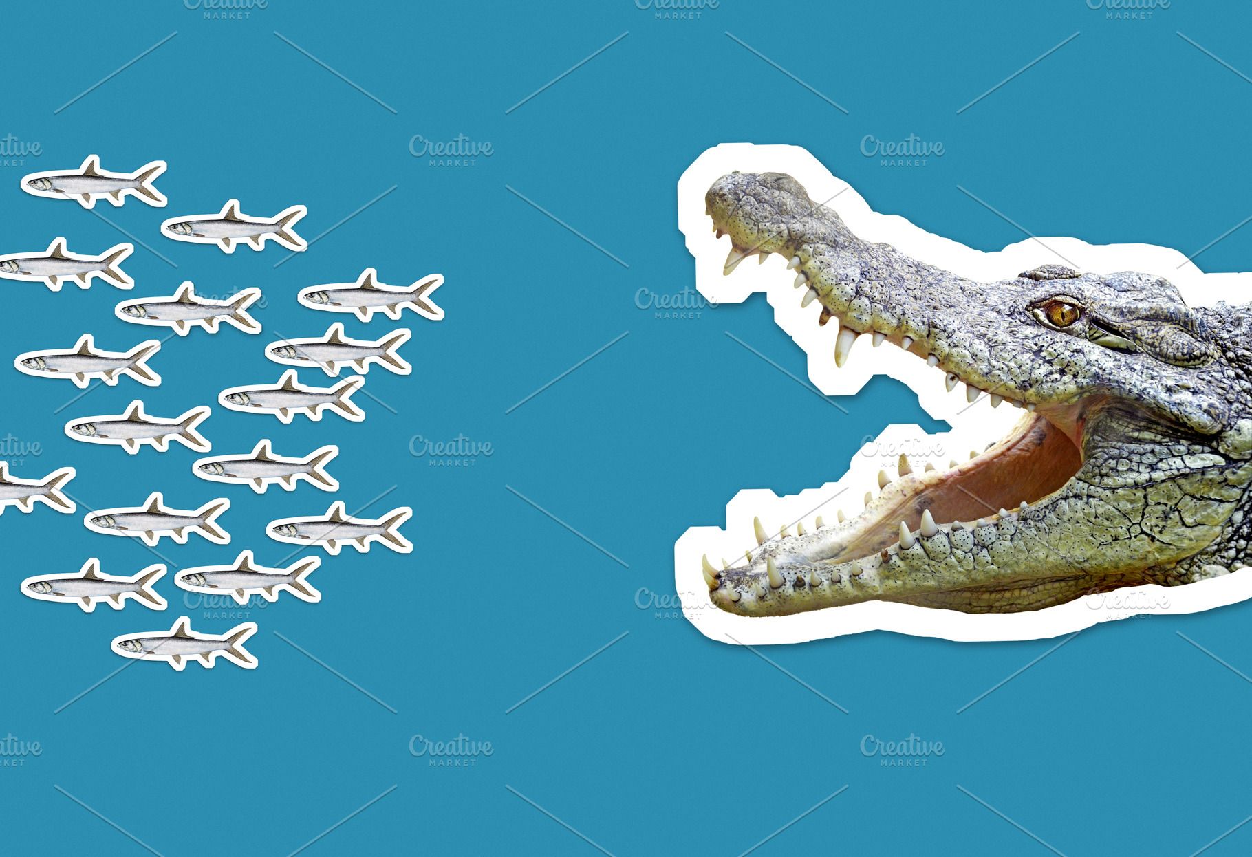 School of fish escaping crocodile, an Animal Photo by BOOCYS