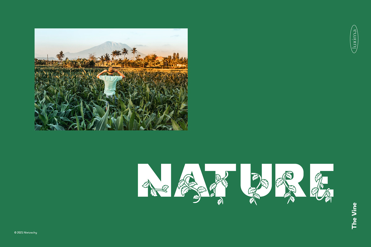 THE VINE DISPLAY FONT, a Sans Serif Font by Luxima (Photo 5 of 7)