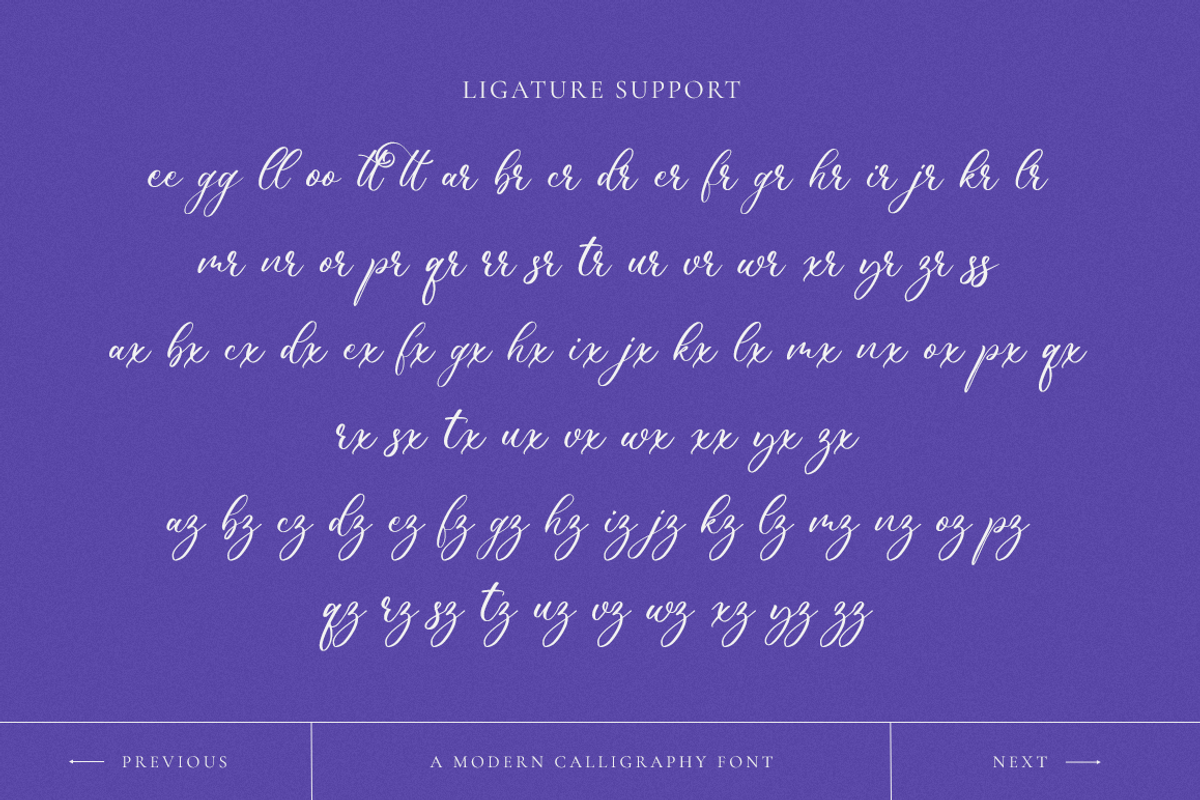 Wonderful Calligraphy, a Handwritten Font by RockboyStd (Photo 5 of 12)